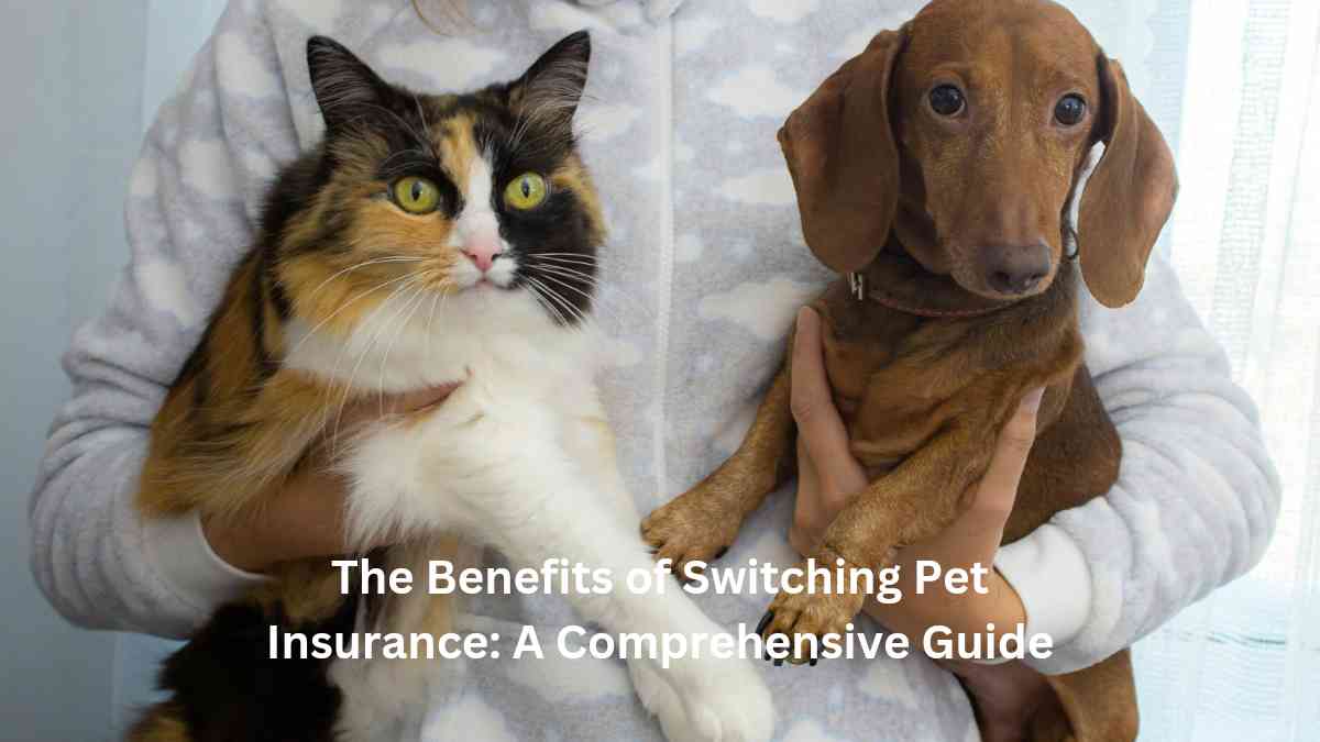 The Benefits of Switching Pet Insurance: A Comprehensive Guide